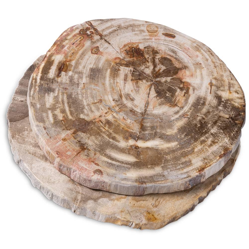 Petrified Wood Platter 8-10 Inch #31229